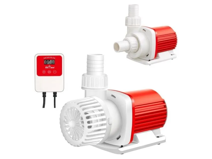 DC6000 pump