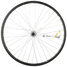 Electra Townie Go! 8i 26" Front Wheel, Clincher, Centerlock, QR, Schrader