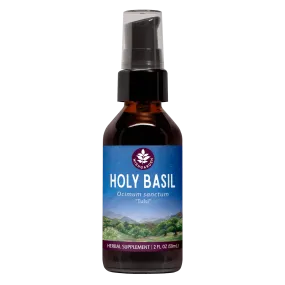 Holy Basil