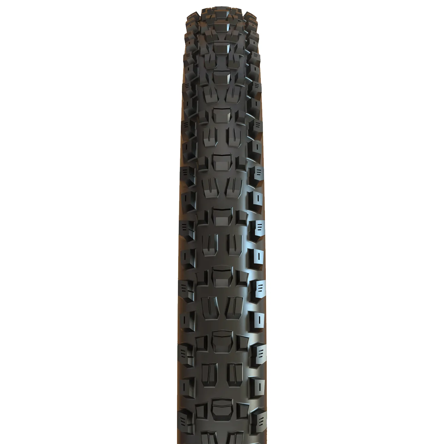 Maxxis Assegai 29x2.60WT 3C MaxxTerra EXO TR Tire