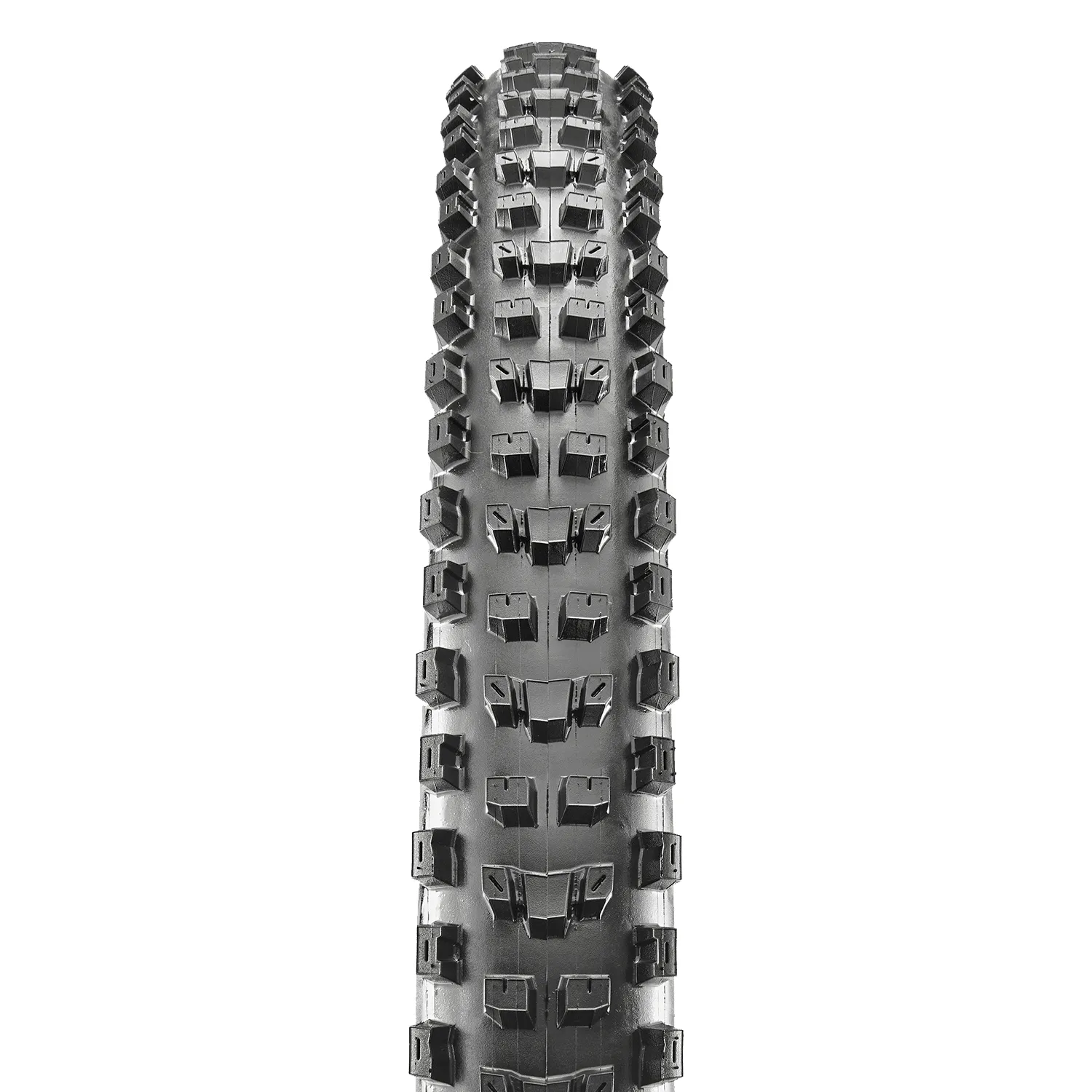 Maxxis Dissector 29x2.60WT 3C MaxxTerra EXO  TR Tire