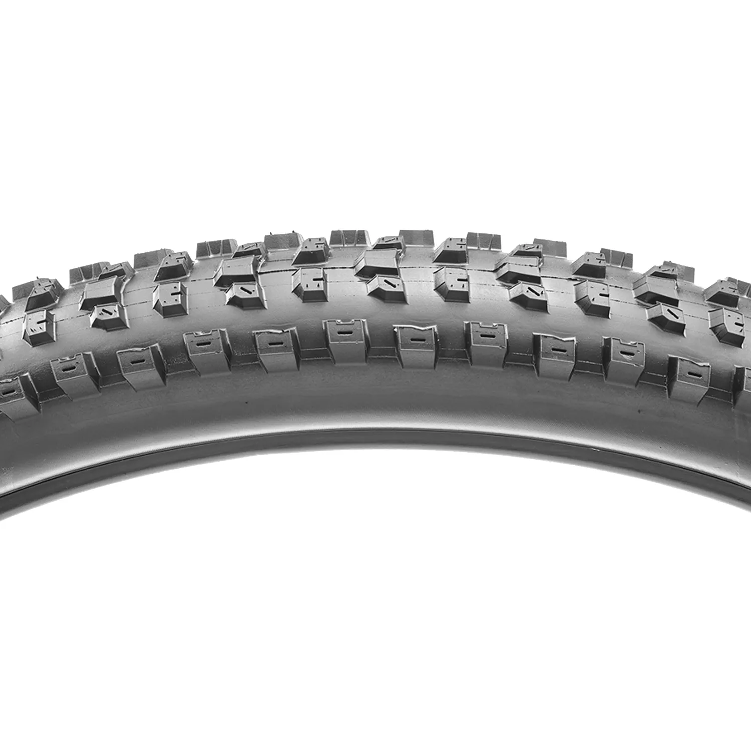 Maxxis Dissector 29x2.60WT 3C MaxxTerra EXO  TR Tire