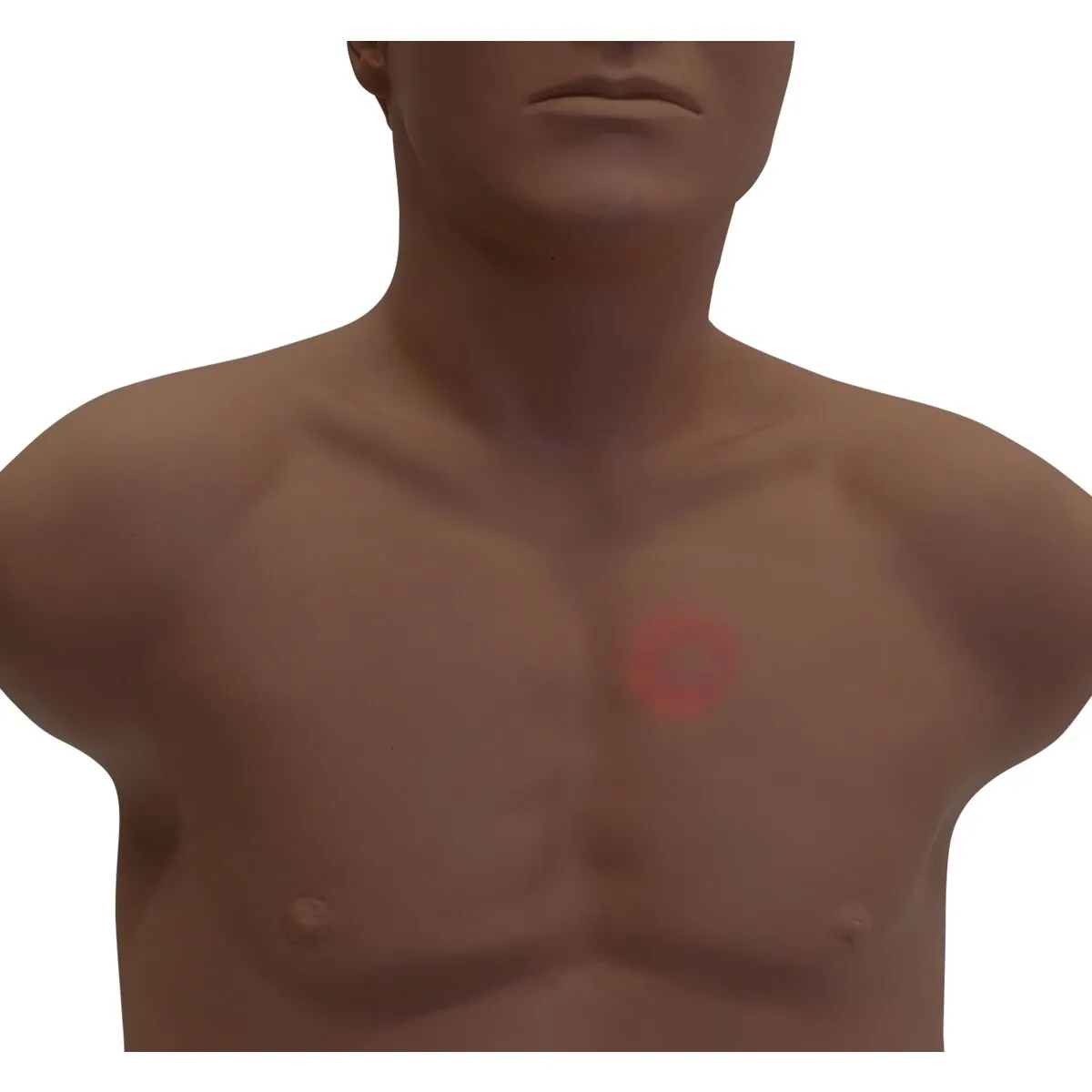 SAM4 Plus Auscultation Manikin, Dark